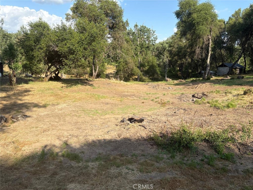 0 Chickasaw Road Property Photo 2