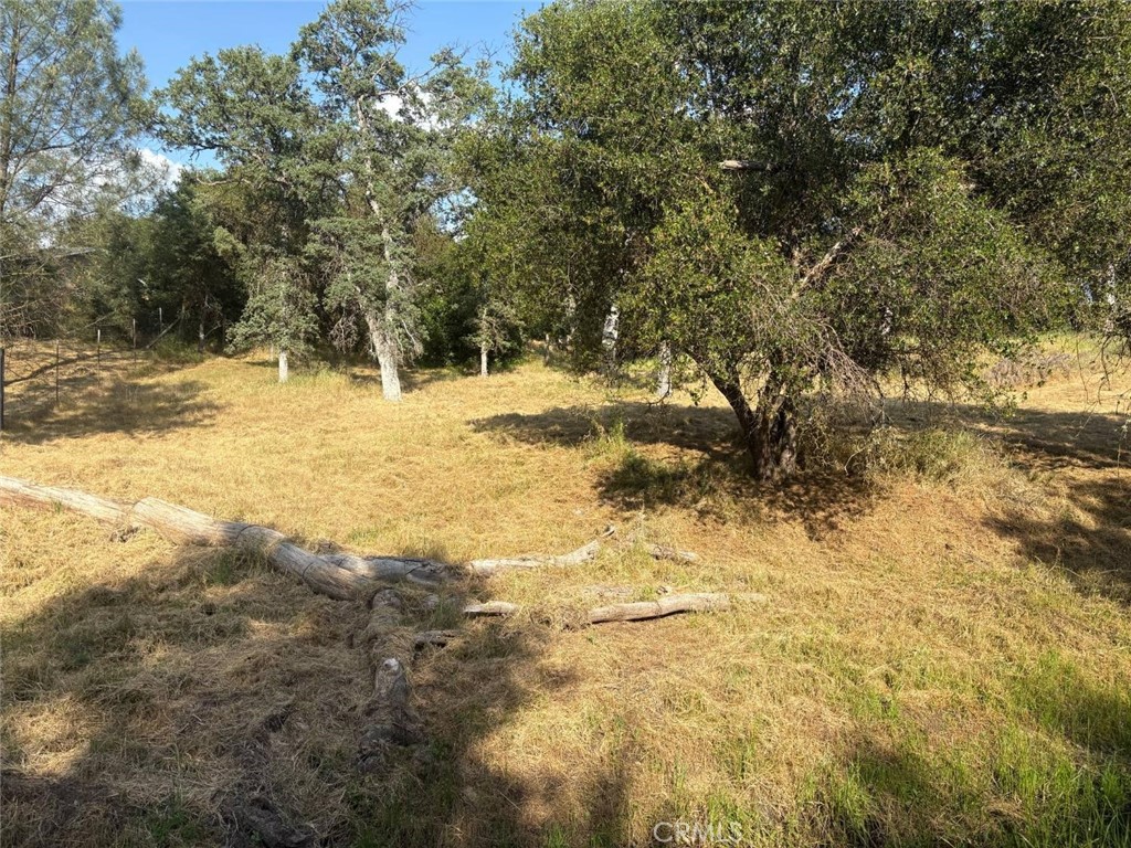 0 Chickasaw Road Property Photo 3