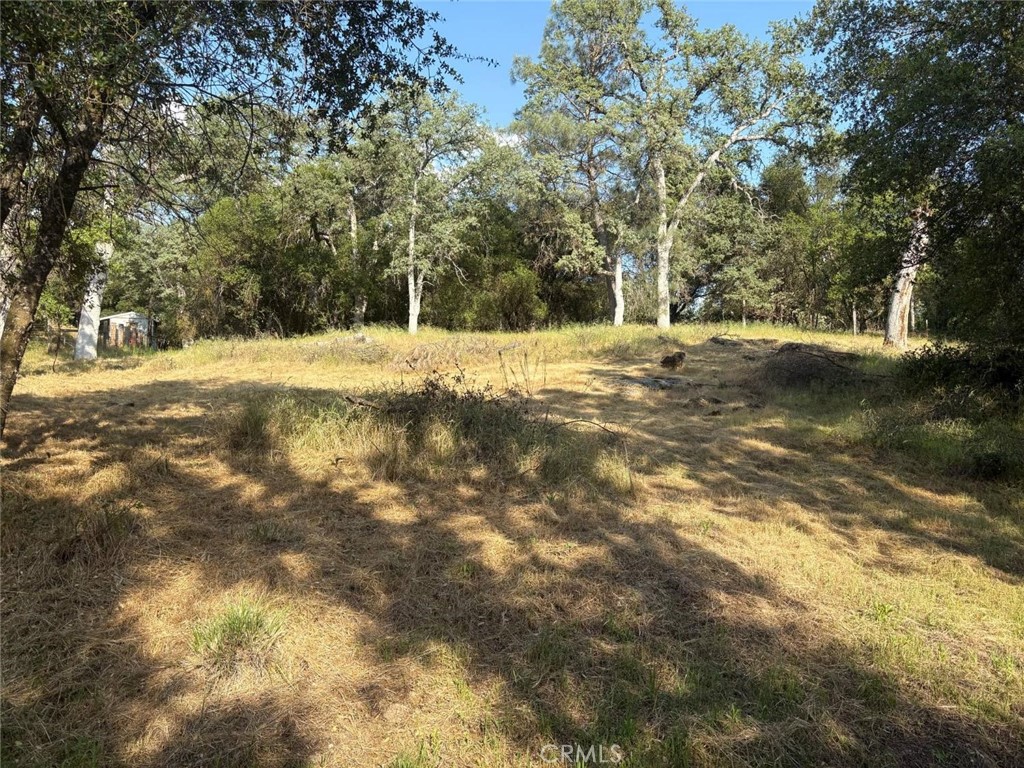 0 Chickasaw Road Property Photo 4