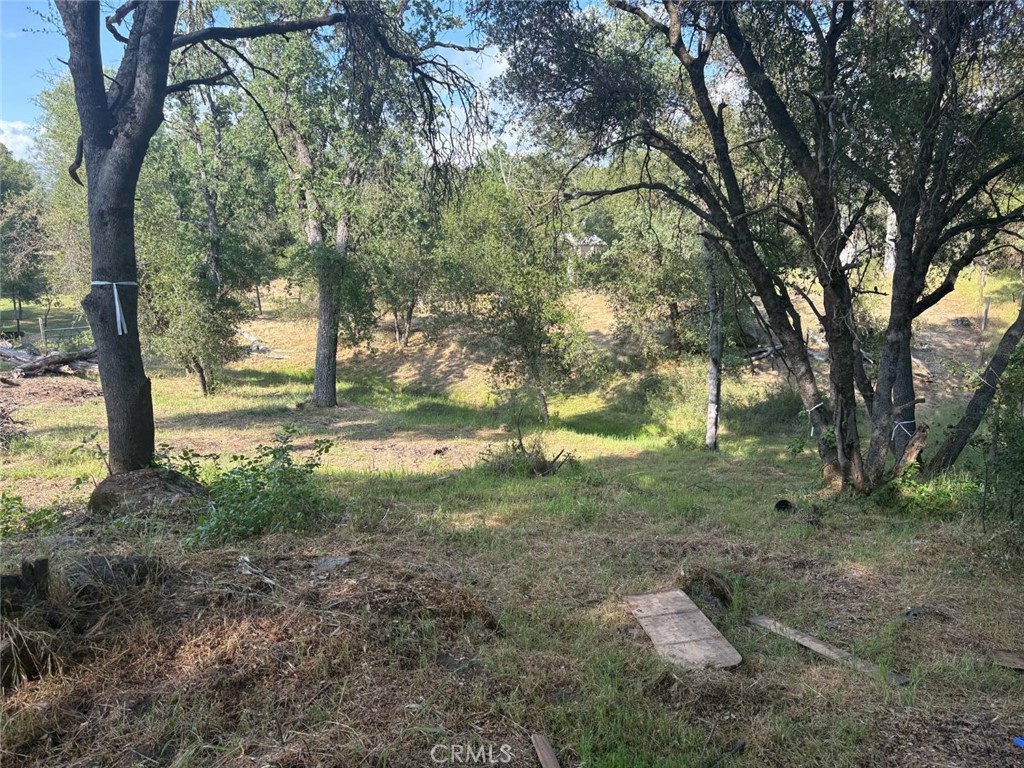 0 Chickasaw Road Property Photo 6