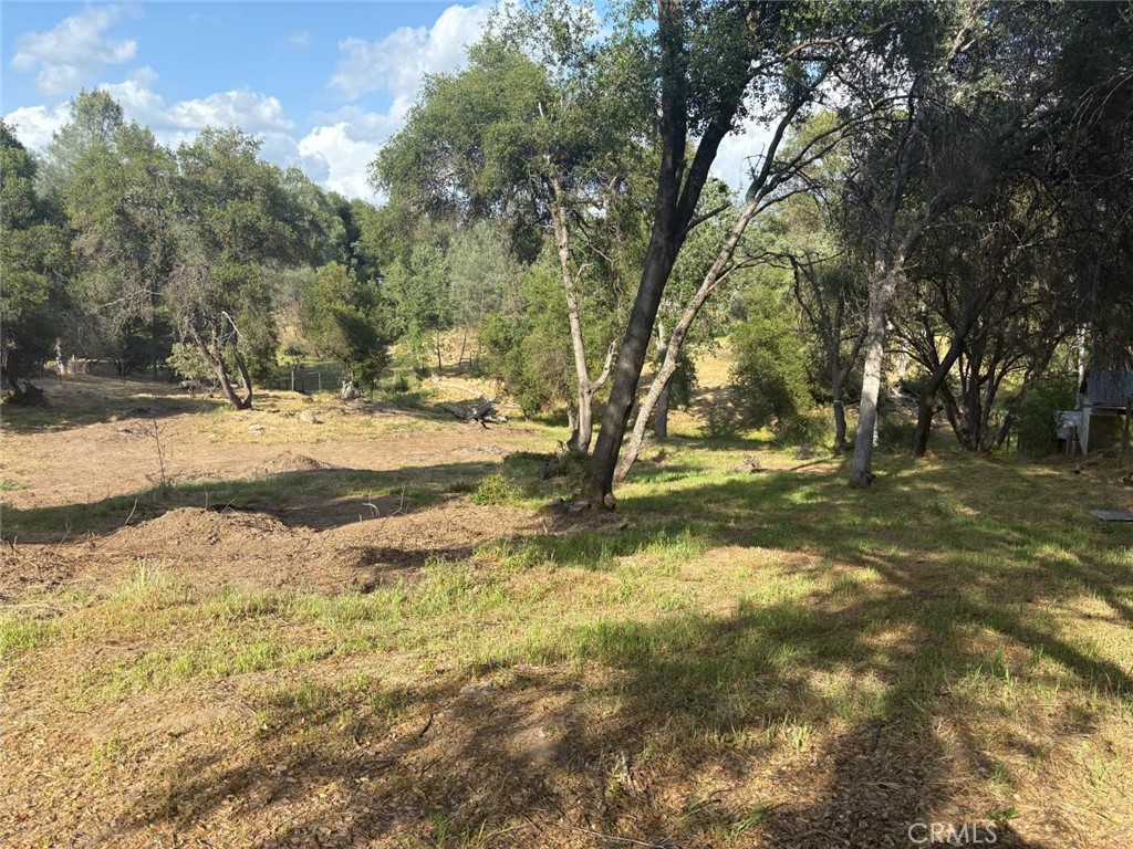 0 Chickasaw Road Property Photo 7