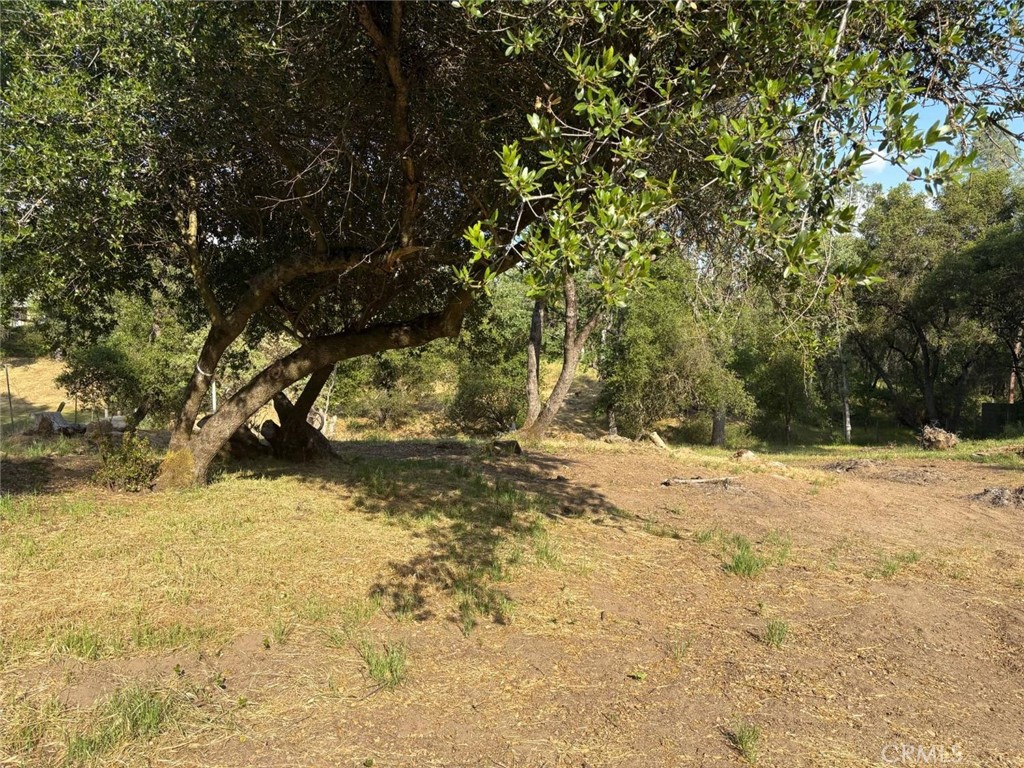 0 Chickasaw Road Property Photo 8