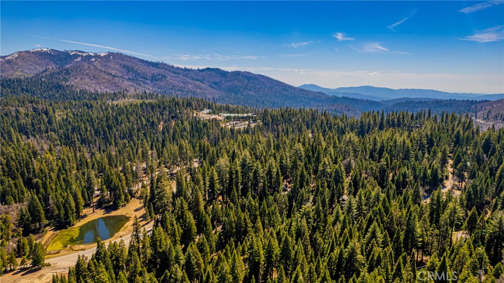 1163 Silver Tip Property Photo 31