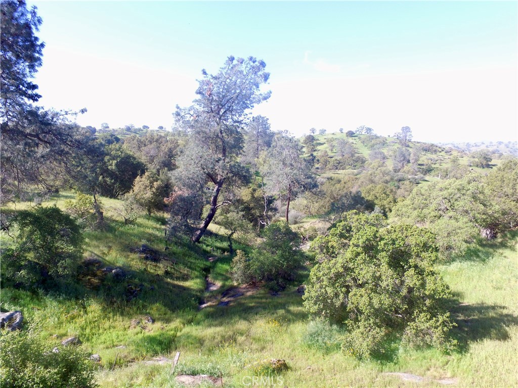 0 11.81 Ac Road 400 Property Photo 8
