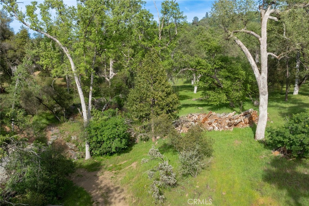 36919 Deer Path Circle Property Photo 58