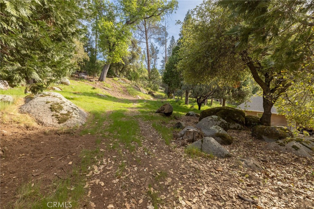 36919 Deer Path Circle Property Photo 61