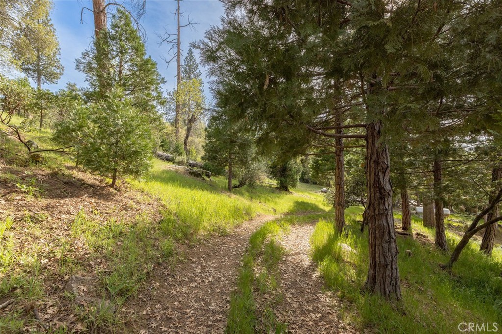 36919 Deer Path Circle Property Photo 63