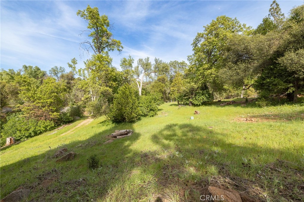 36919 Deer Path Circle Property Photo 64