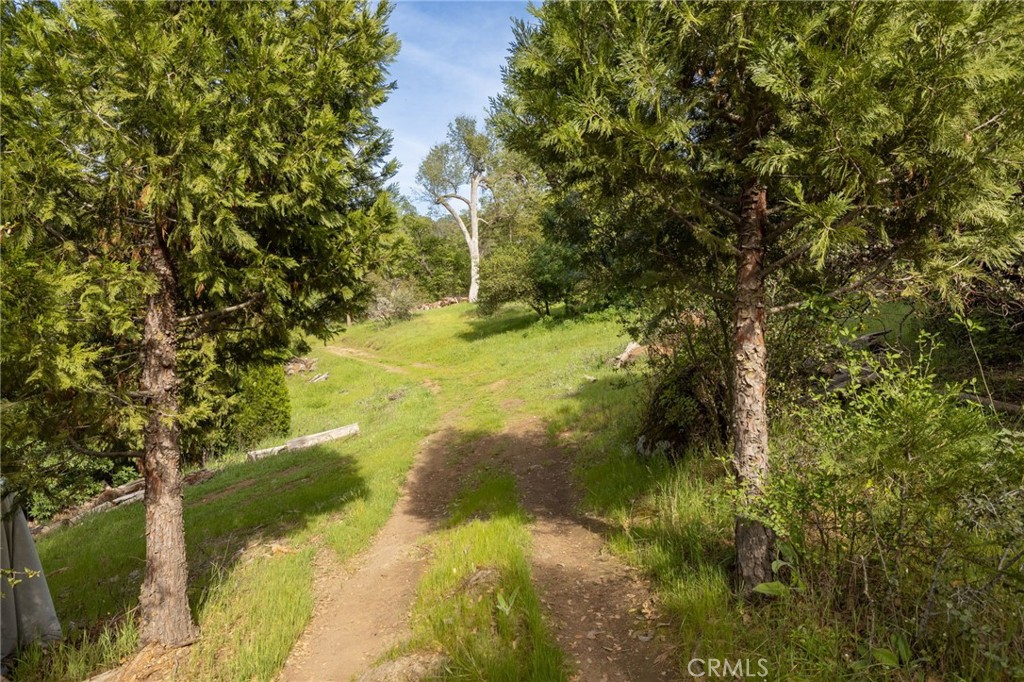 36919 Deer Path Circle Property Photo 65