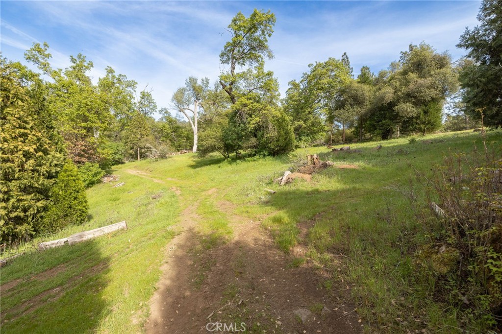 36919 Deer Path Circle Property Photo 66
