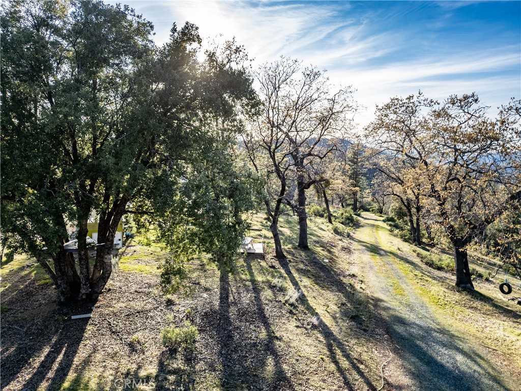 5314 Wilderness View Drive Property Photo 7