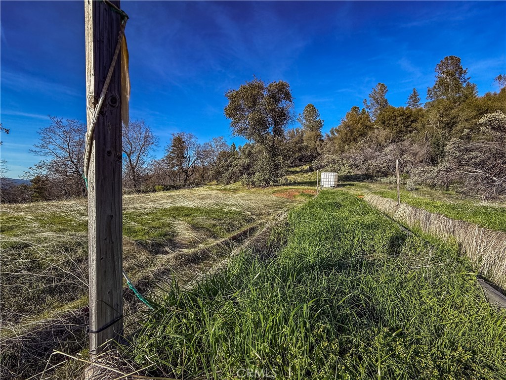 5314 Wilderness View Drive Property Photo 13