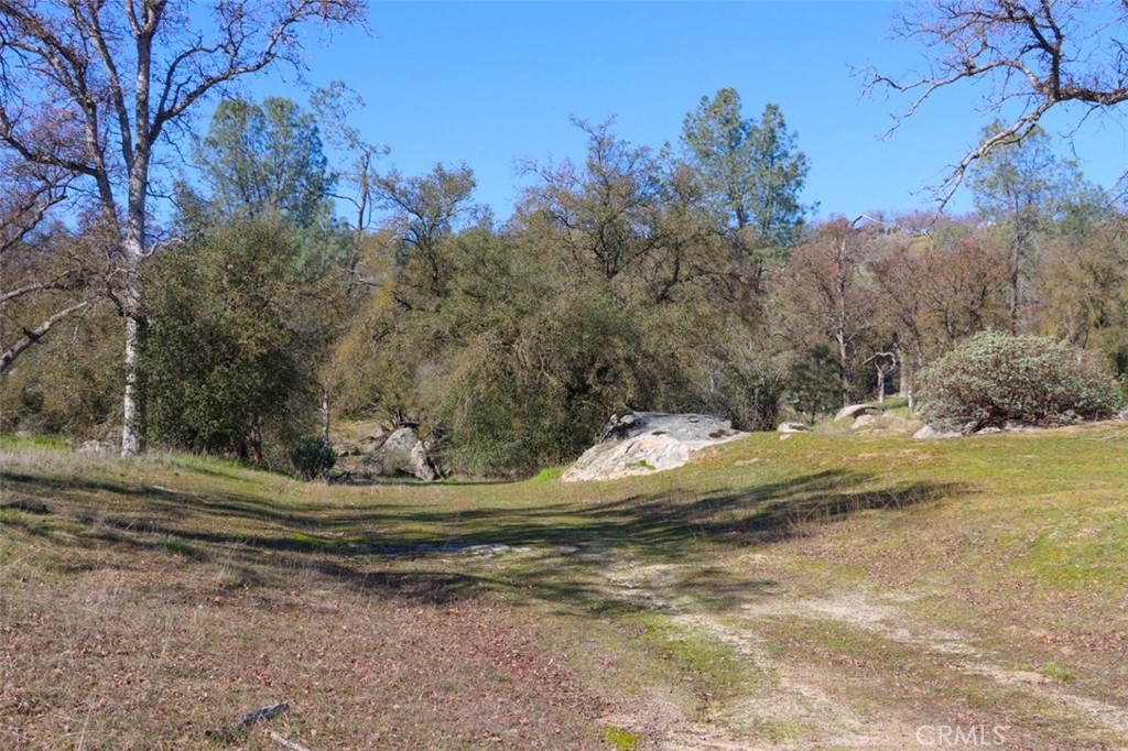 0 6.48 Ac Long Hollow Drive Property Photo 2