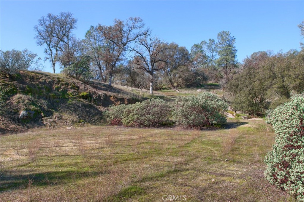 0 6.48 Ac Long Hollow Drive Property Photo 4