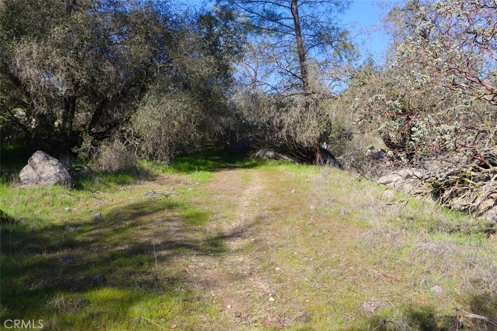 0 6.48 Ac Long Hollow Drive Property Photo 5