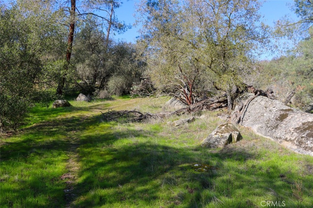 0 6.48 Ac Long Hollow Drive Property Photo 6