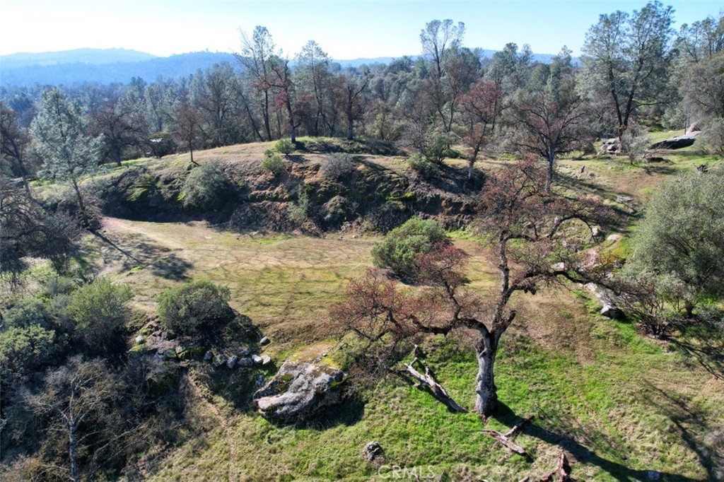 0 6.48 Ac Long Hollow Drive Property Photo 9