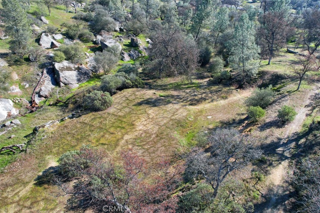 0 6.48 Ac Long Hollow Drive Property Photo 10