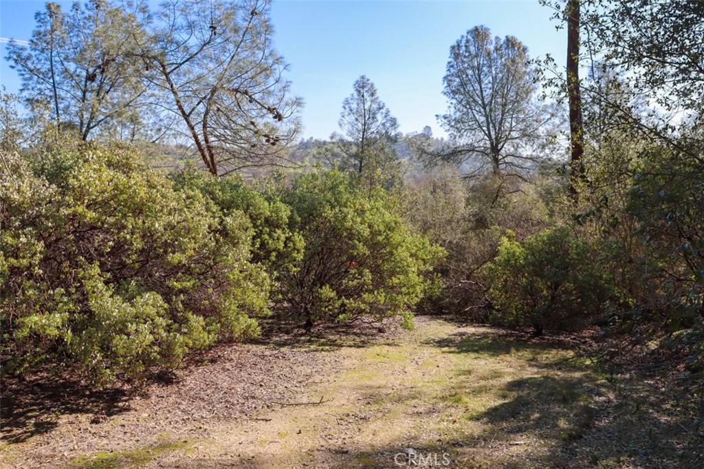 0 6.48 Ac Long Hollow Drive Property Photo 11
