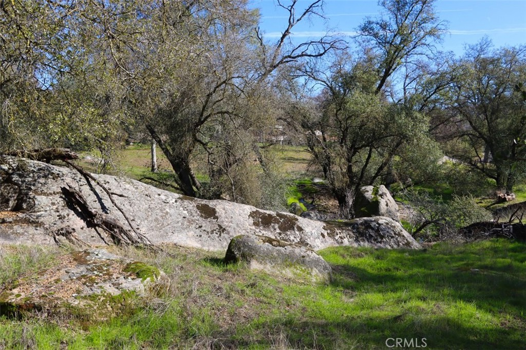 0 6.48 Ac Long Hollow Drive Property Photo 12