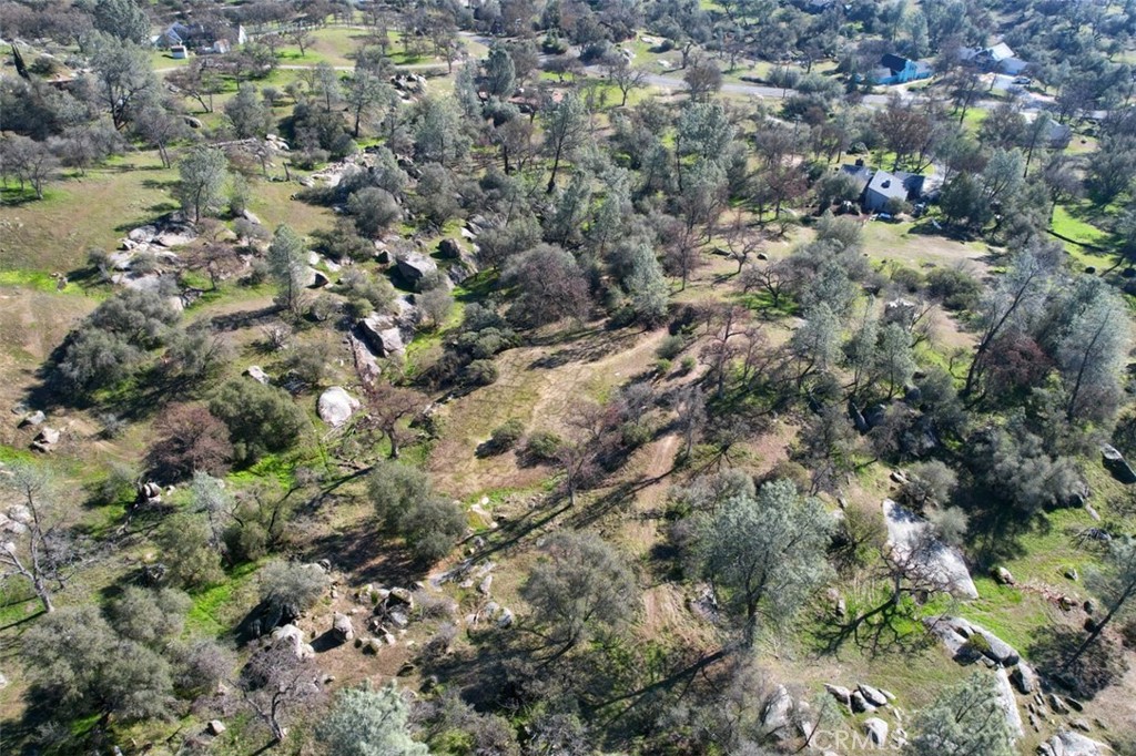 0 6.48 Ac Long Hollow Drive Property Photo 13