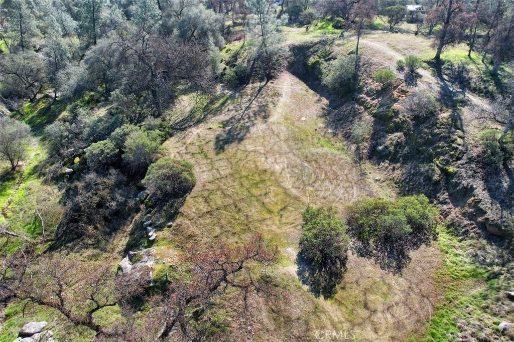 0 6.48 Ac Long Hollow Drive Property Photo 14
