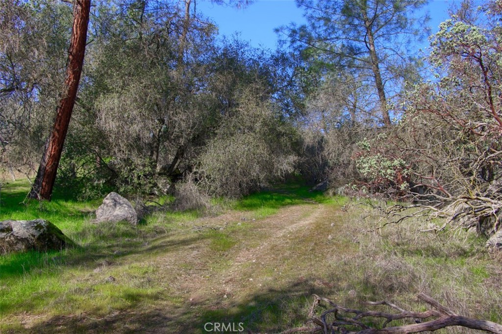 0 6.48 Ac Long Hollow Drive Property Photo 15