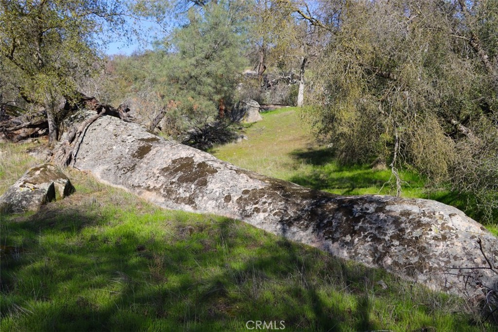 0 6.48 Ac Long Hollow Drive Property Photo 17