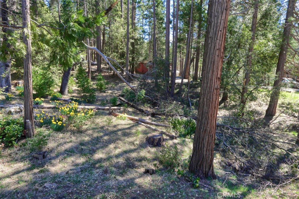 2580 River Property Photo 31