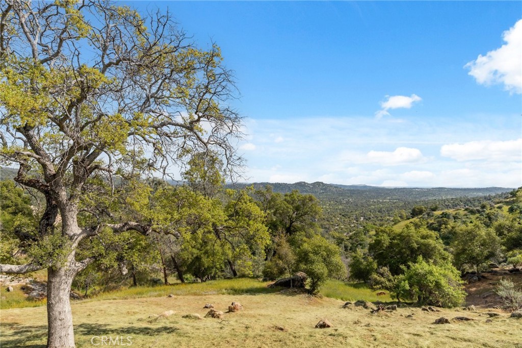31021 Blue Heron Property Photo 28