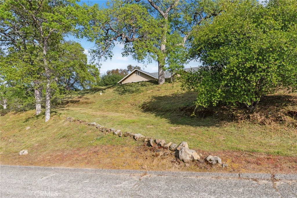 31021 Blue Heron Property Photo 41