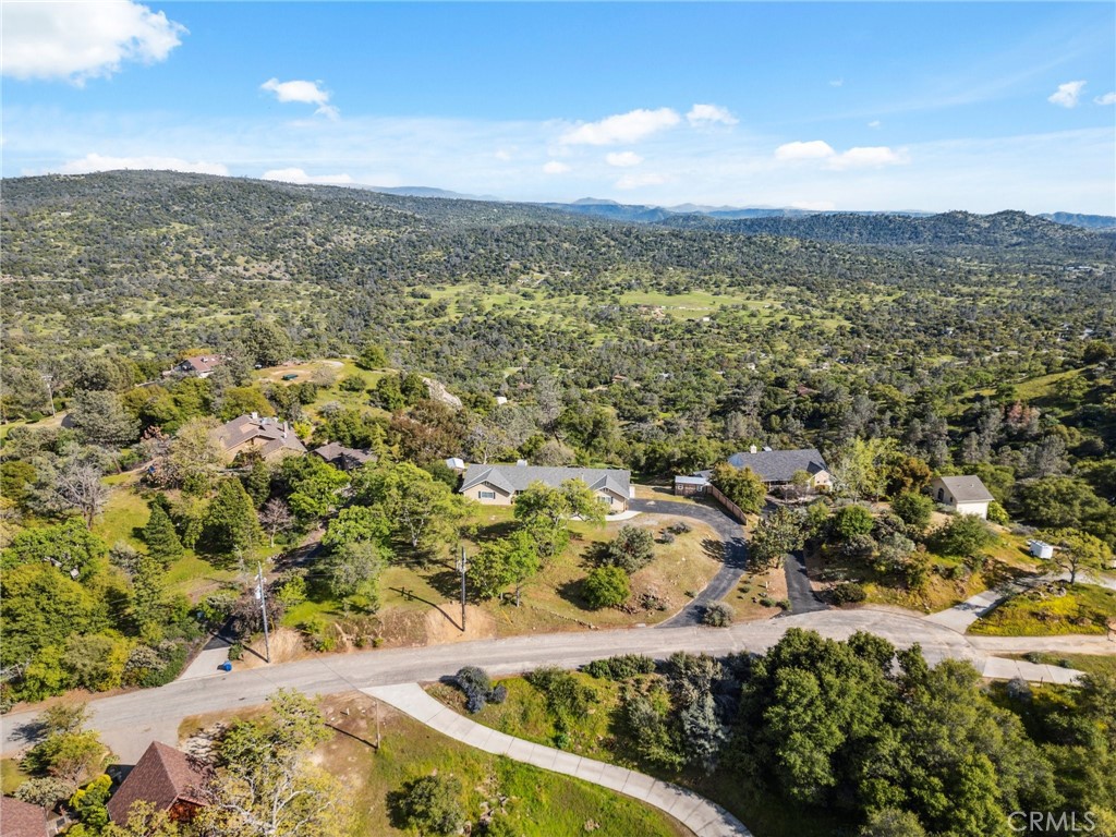 31021 Blue Heron Property Photo 49