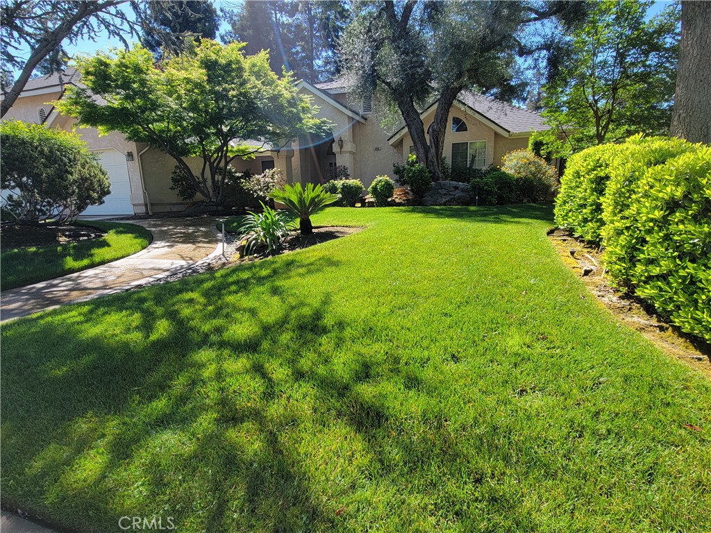 819 E Woodhaven Property Photo 4