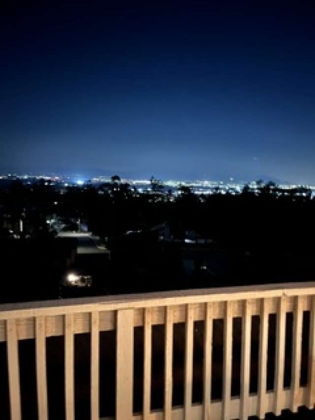 28831 Terrace Drive Property Photo 3