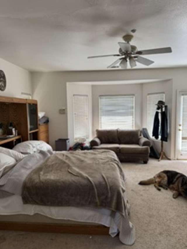 28831 Terrace Drive Property Photo 11