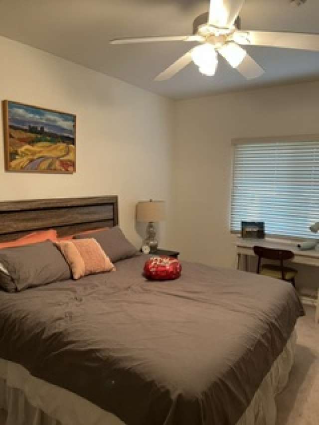 28831 Terrace Drive Property Photo 18