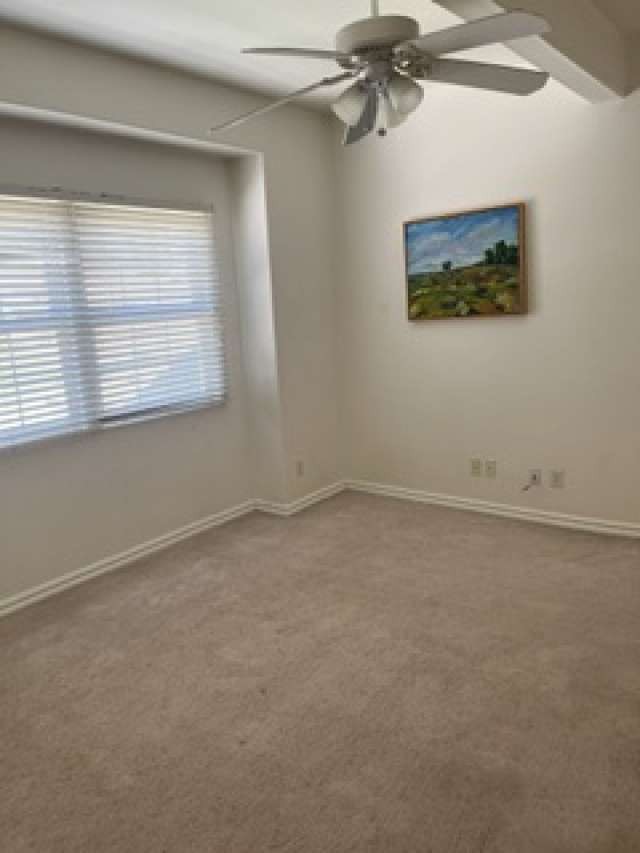 28831 Terrace Drive Property Photo 20