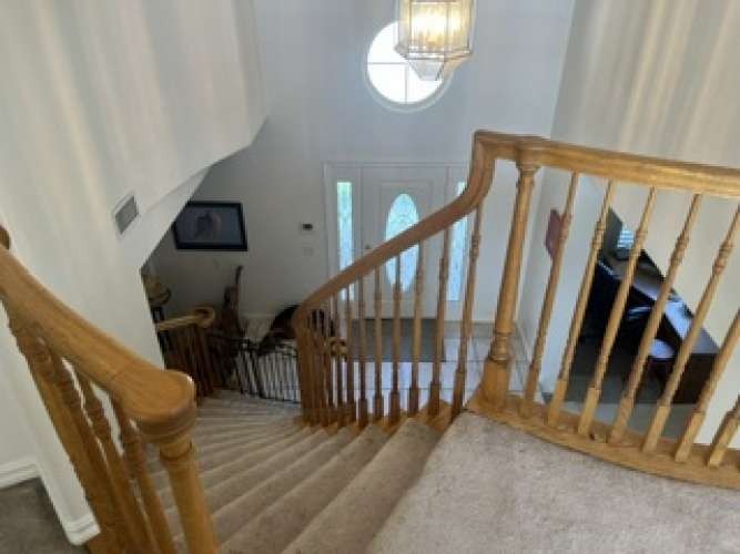 28831 Terrace Drive Property Photo 24