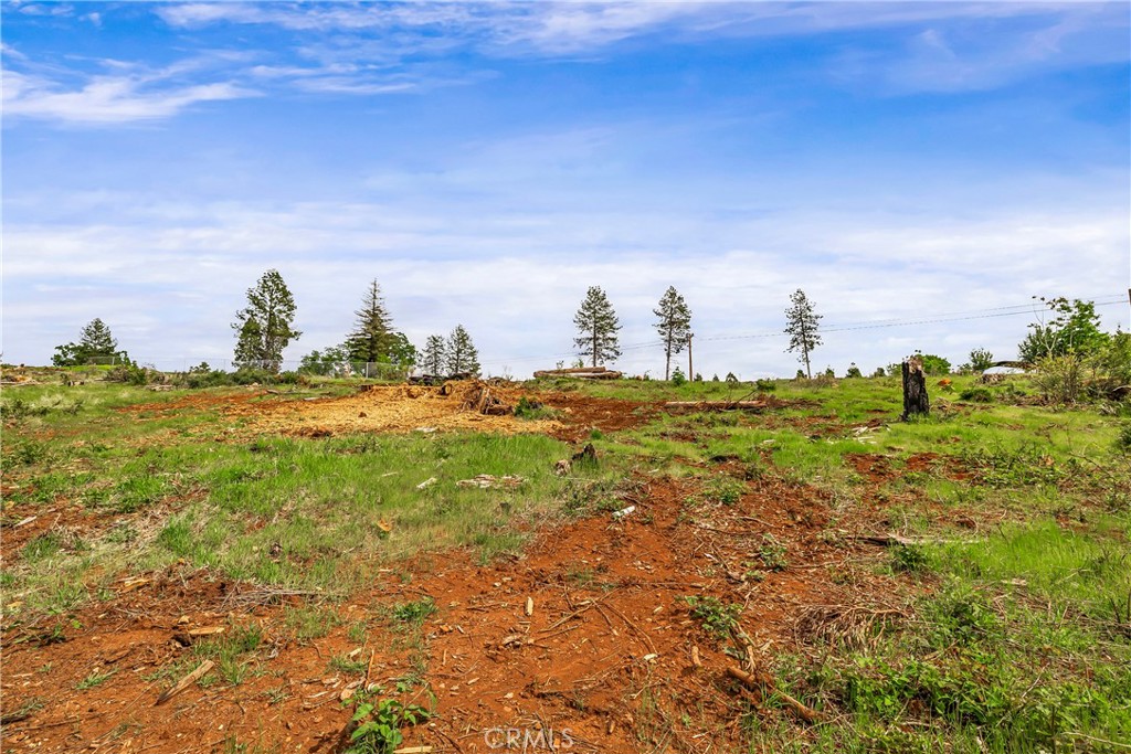 283 Roe Property Photo 21