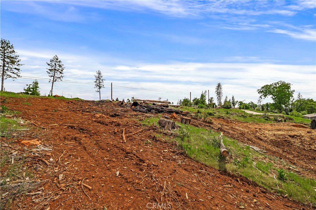 283 Roe Property Photo 23