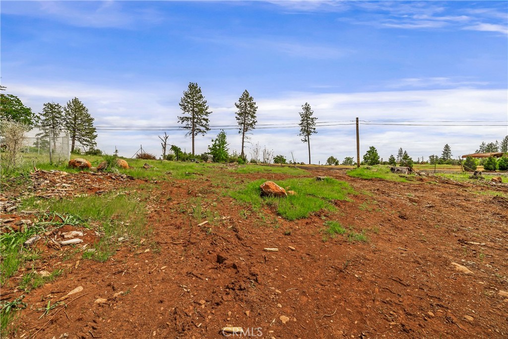 283 Roe Property Photo 25