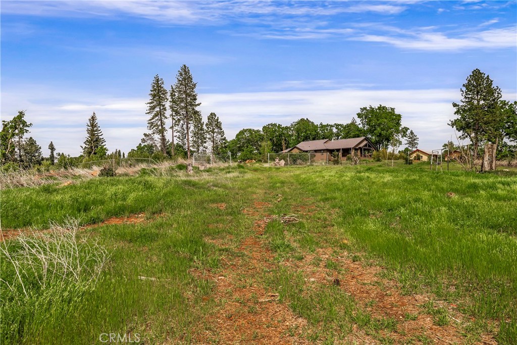 283 Roe Property Photo 27