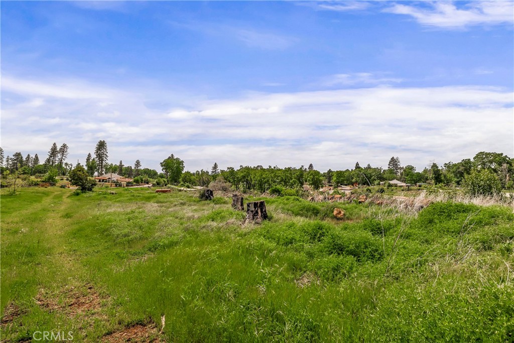 283 Roe Property Photo 28