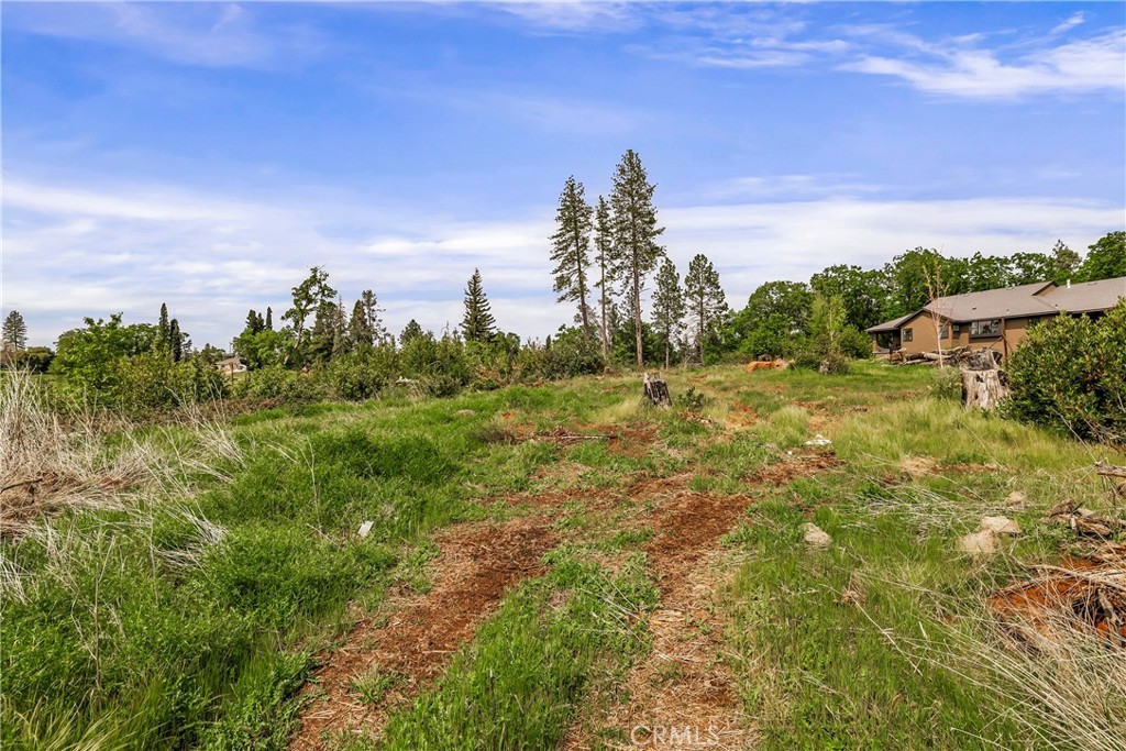 283 Roe Property Photo 29
