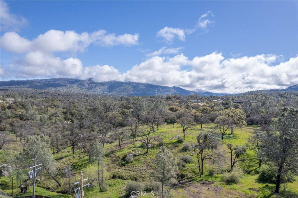 29645 Auberry Road Property Photo 6