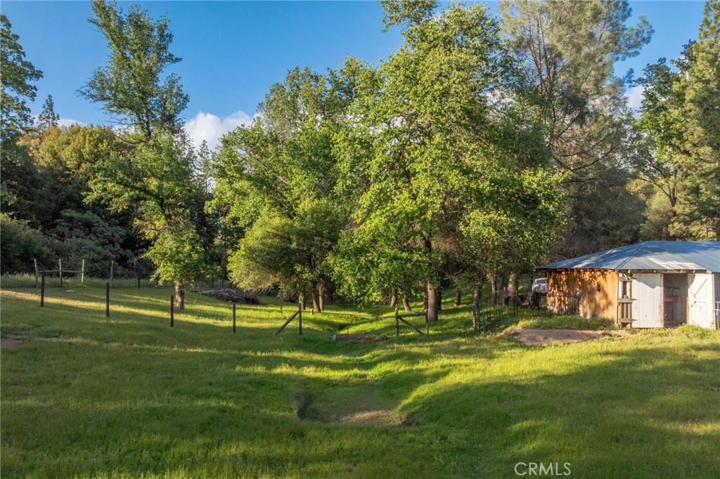 50711 Road 426 Property Photo 71