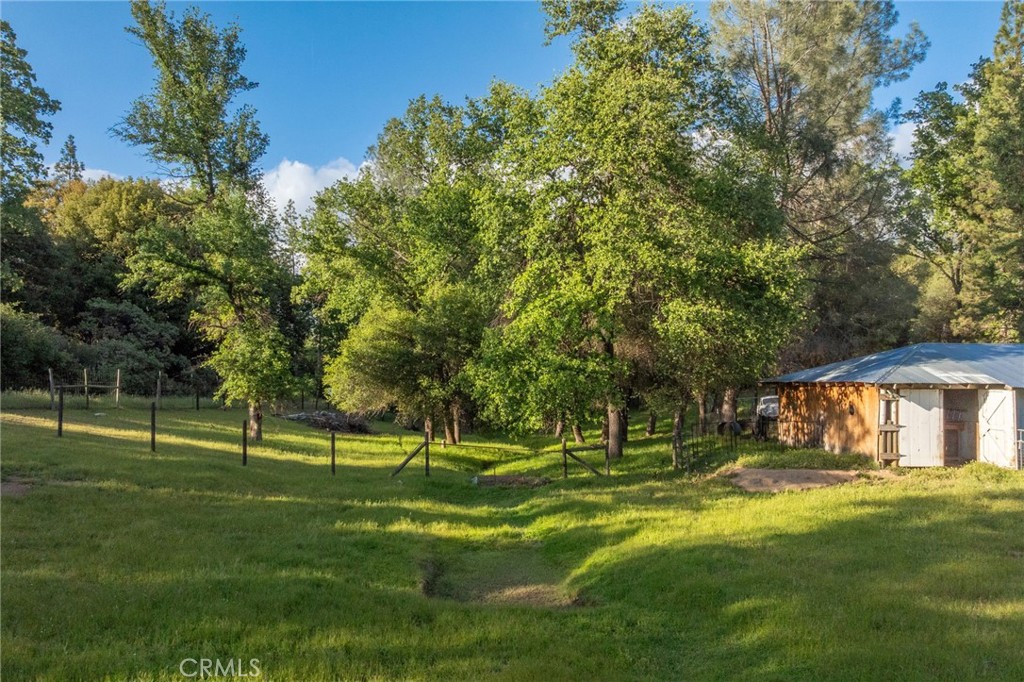 50711 Road 426 Property Photo 71