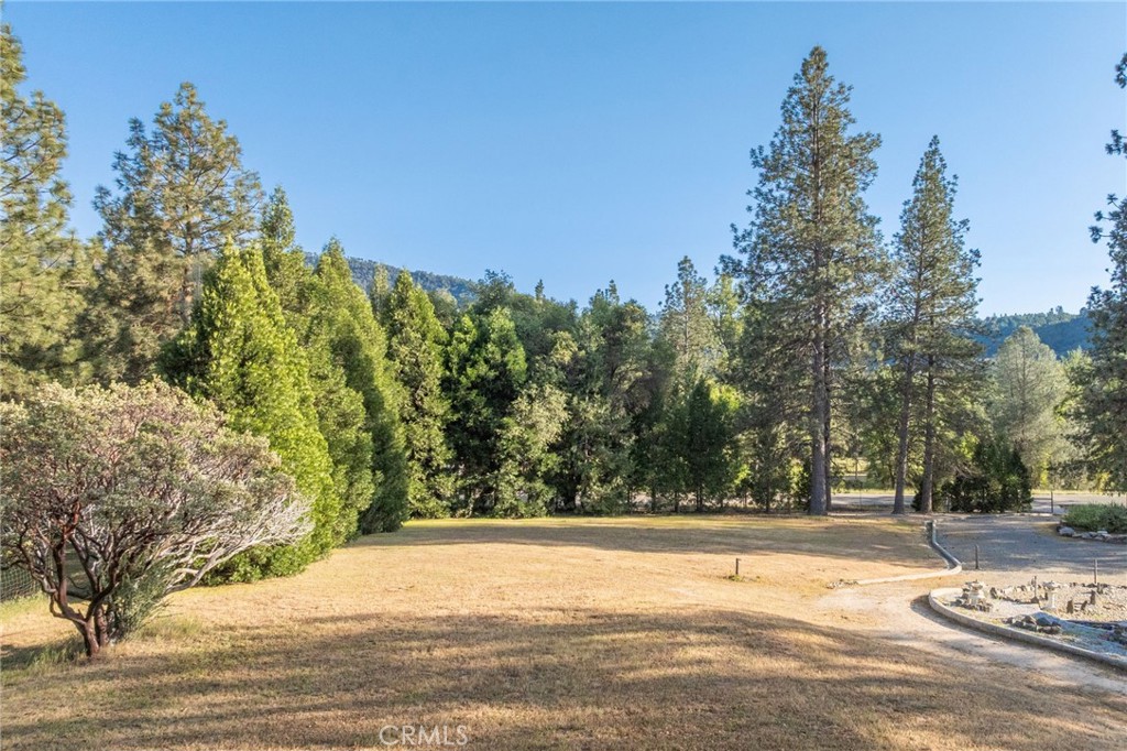 50711 Road 426 Property Photo 72