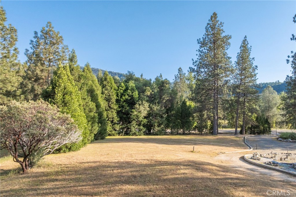 50711 Road 426 Property Photo 72