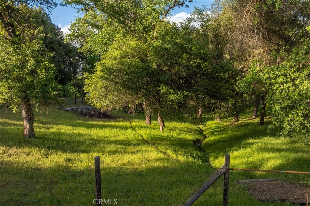 50711 Road 426 Property Photo 73
